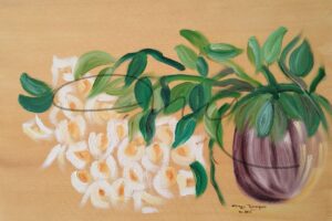 Florada Branca e Amarela