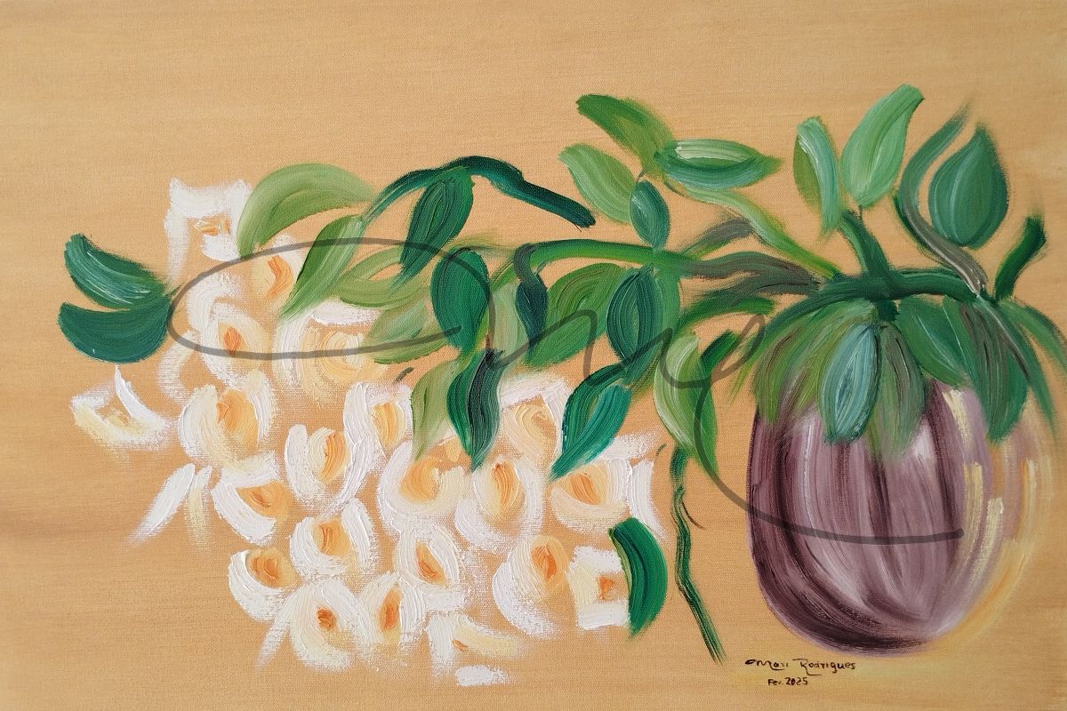 Florada Branca e Amarela