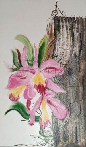 Orquídea Rosa
